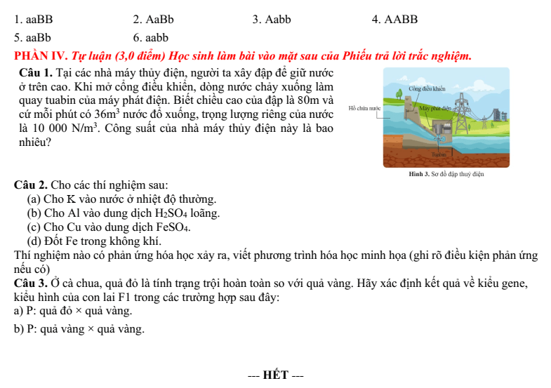 Đề thi Giữa kì 1 KHTN 9 năm 2024-2025 trường THCS Ngô Gia Tự (Hà Nội)