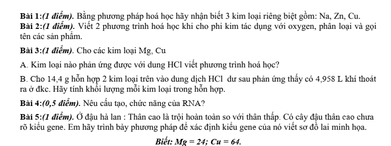 Đề thi Giữa kì 1 KHTN 9 năm 2024-2025 trường THCS Phước Bửu (Bà Rịa - Vũng Tàu)