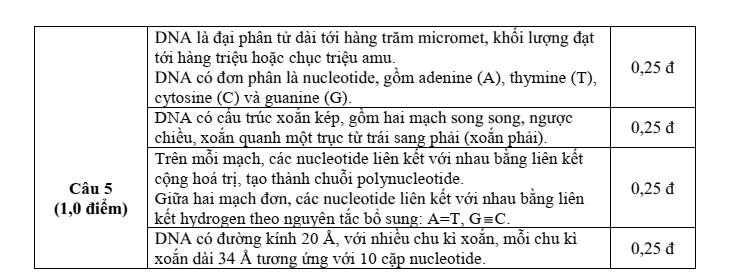 Đề thi Giữa kì 1 KHTN 9 năm 2024-2025 trường THCS Trần Hưng Đạo (Kon Tum)