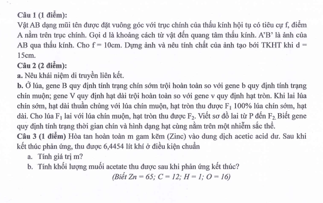 Đề thi Giữa kì 2 KHTN 9 năm 2024-2025 trường THCS Ngọc Lâm (Hà Nội)