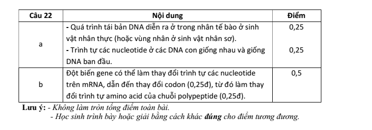 Đề thi Học kì 1 KHTN 9 năm 2024-2025 Phòng GD&ĐT Xuân Trường (Nam Định)