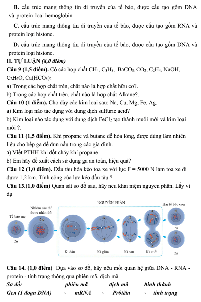 Đề thi Học kì 1 KHTN 9 năm 2024-2025 trường THCS Mỹ Tiến (Nam Định)