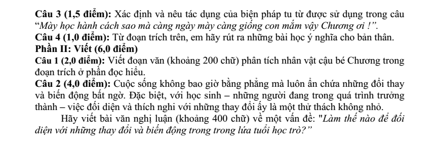 Đề thi Học kì 1 Văn 9 năm 2025-2026 trường THCS Đức Giang (Hà Nội)