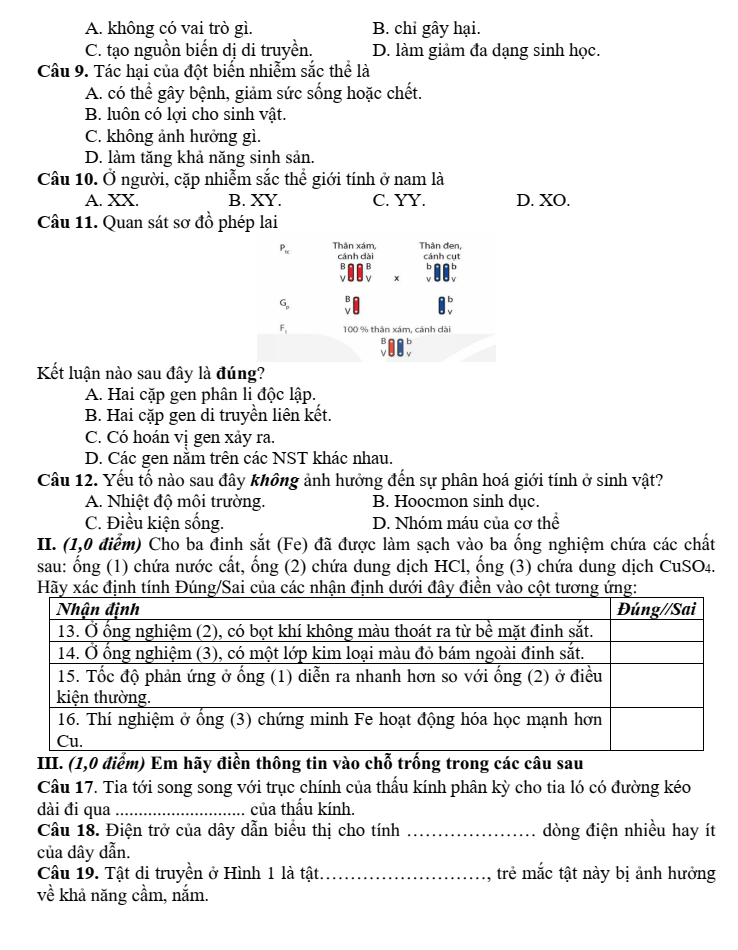 Đề thi Học kì 2 KHTN 9 năm 2025-2026 trường THCS Nguyễn Huệ (Đà Nẵng)