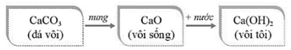 Đề thi Học kì 2 KHTN 9 năm 2025-2026 trường THCS Nguyễn Thị Thập (Tp.HCM)