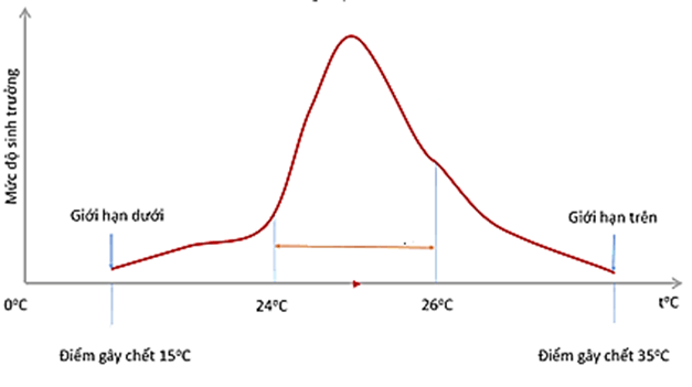 3 Đề thi Giữa kì 2 Sinh học 12 Cánh diều (cấu trúc mới, có đáp án)