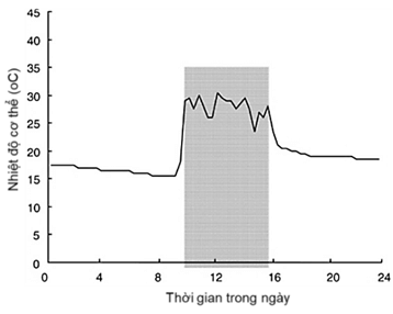 3 Đề thi Giữa kì 2 Sinh học 12 Cánh diều (cấu trúc mới, có đáp án)