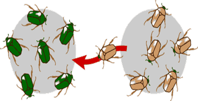 2+ Đề thi Giữa kì 2 Sinh học 12 Kết nối tri thức (cấu trúc mới, có đáp án)