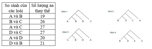 2+ Đề thi Giữa kì 2 Sinh học 12 Kết nối tri thức (cấu trúc mới, có đáp án)