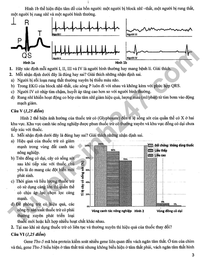 đề thi tuyển sinh Sinh học vào lớp 10 trường Phổ thông năng khiếu HCM