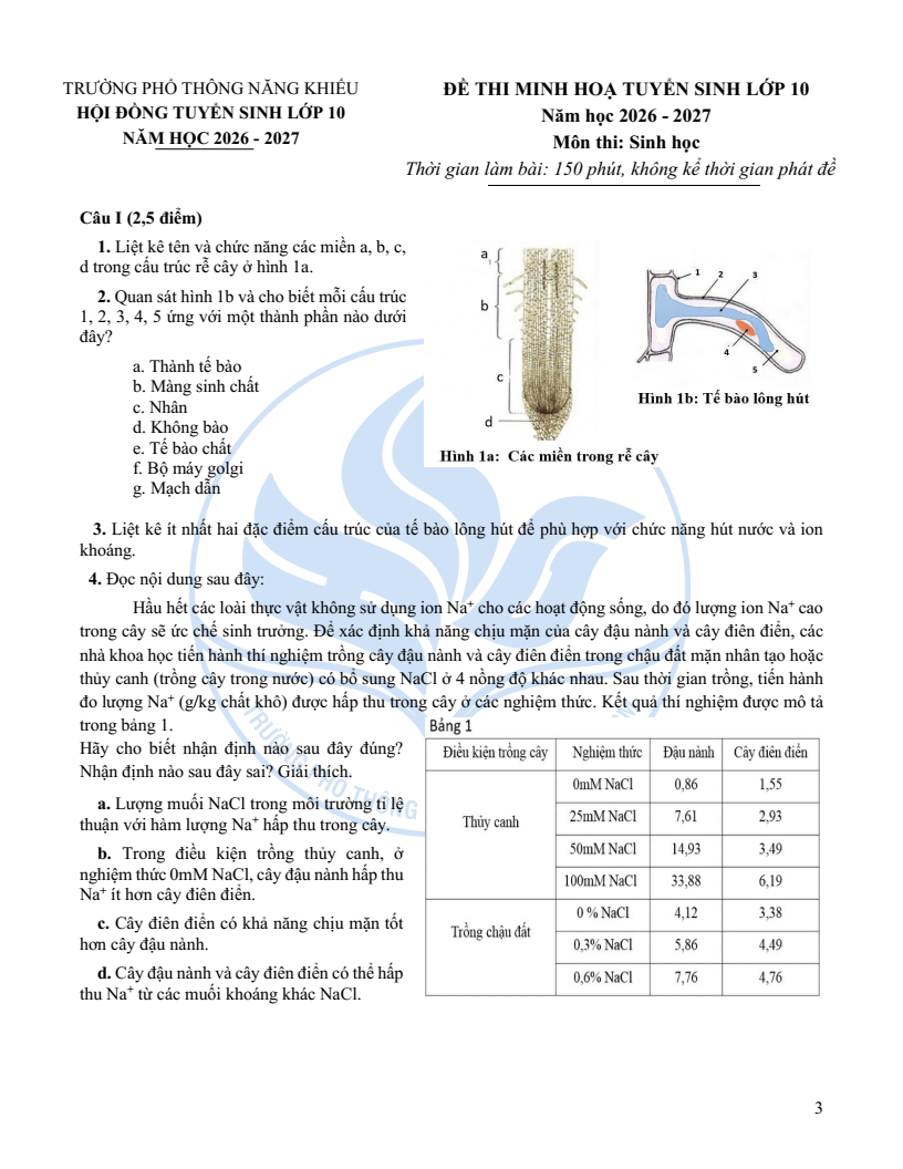 Đề minh họa Chuyên Sinh học vào lớp 10 trường Phổ thông Năng khiếu 2026