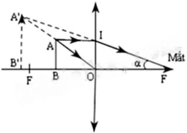 Đề minh họa Khoa học tự nhiên vào lớp 10 Hải Phòng năm 2025 (có đáp án)