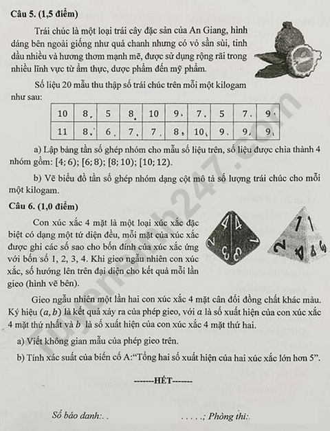 Đề chính thức thi Toán vào lớp 10 An Giang năm 2025