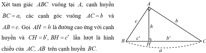(Ôn thi Toán vào 10) Chứng minh tam giác đồng dạng và hệ thức hình học