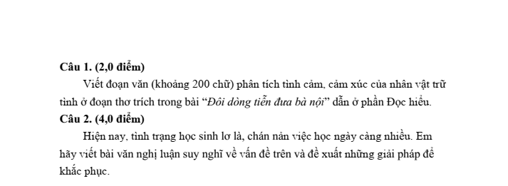 Đề thi thử Văn vào lớp 10 năm 2025 Phòng GD&ĐT Hiệp Hòa