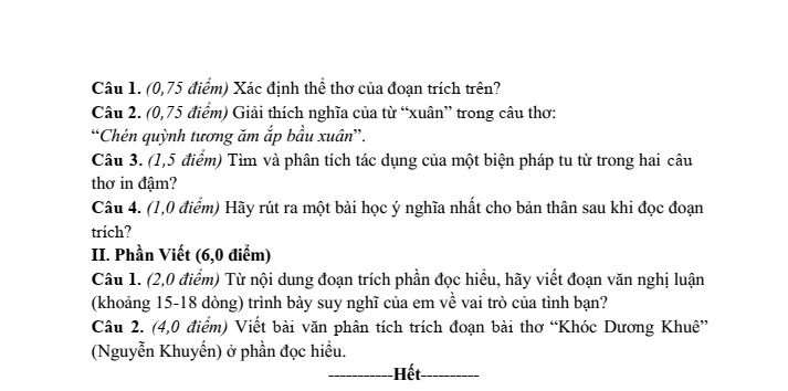 Đề thi thử Văn vào lớp 10 năm 2025 trường THCS Bình Dương