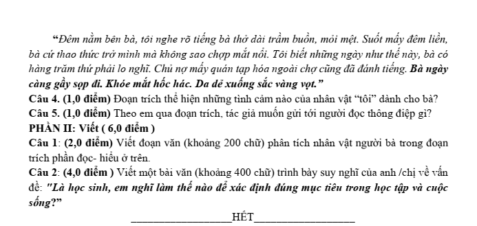Đề thi thử Văn vào lớp 10 năm 2025 trường THCS Phú Lương