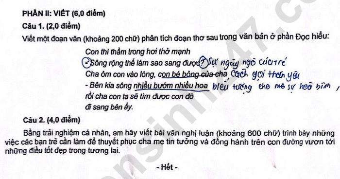 Đề chính thức thi Văn vào lớp 10 Đà Nẵng năm 2025