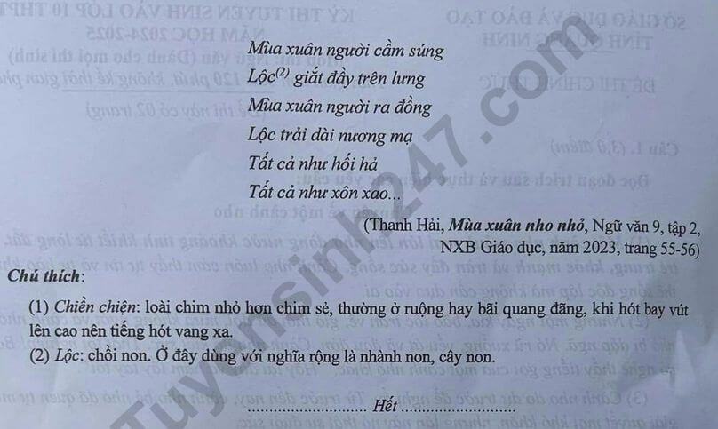 Đề thi vào 10 Văn Quảng Ninh năm 2024 (chính thức)