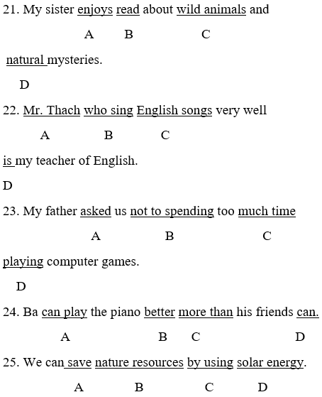 Đề thi vào lớp 10 môn Tiếng Anh năm 2021 cực hay có đáp án (Đề 7)