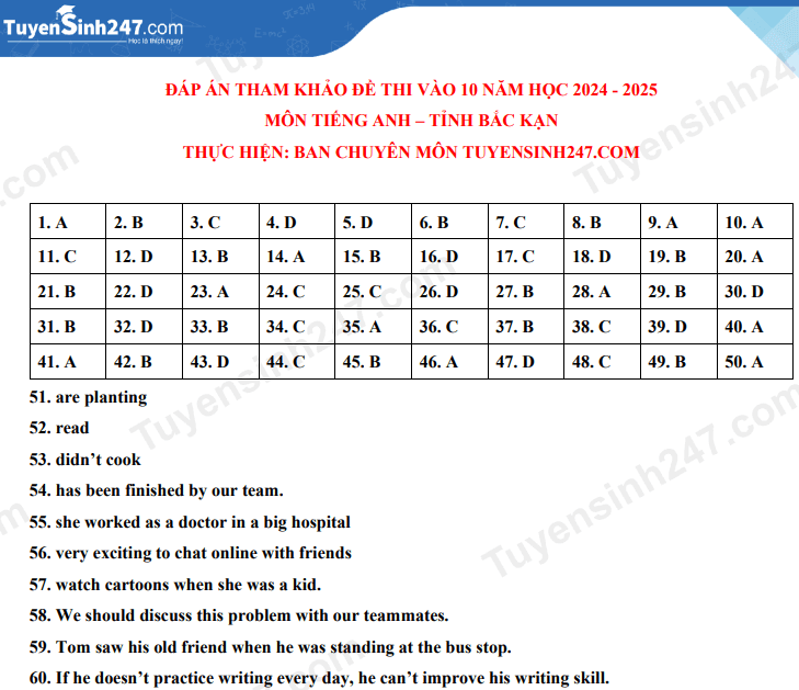 Đề thi vào 10 Tiếng Anh Bắc Kạn năm 2024 (chính thức)