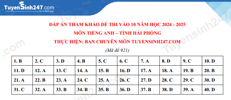 Đề thi vào 10 Tiếng Anh Hải Phòng năm 2024 (chính thức)