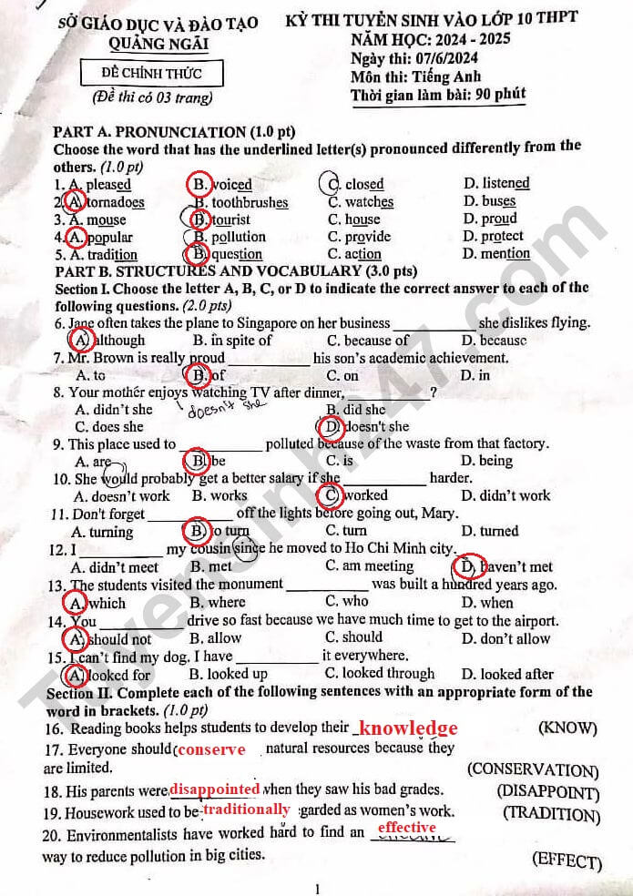 Đề thi vào 10 Tiếng Anh Quảng Ngãi năm 2024 (chính thức)