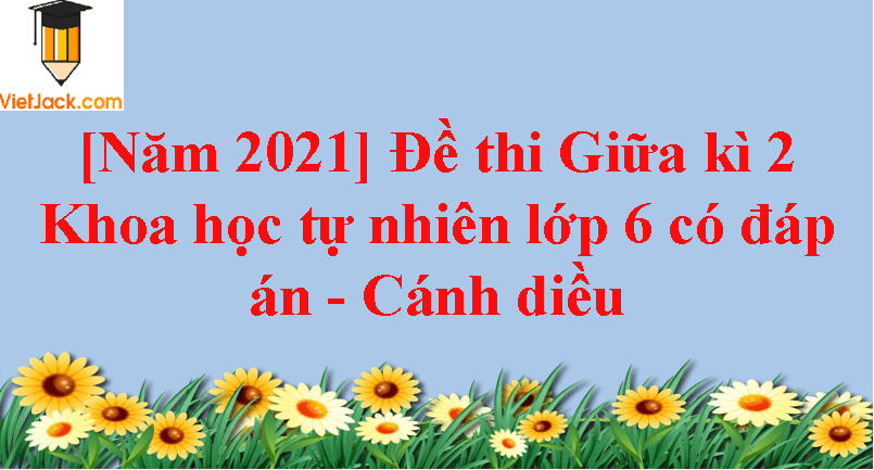 3 Đề thi Giữa kì 2 KHTN 6 Cánh diều năm 2024 (có đáp án)