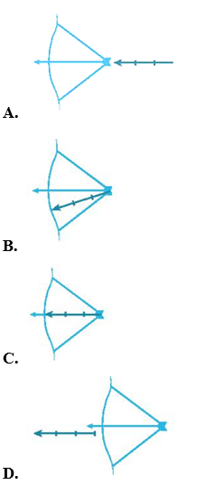 6+ Đề thi Giữa kì 2 KHTN 6 Kết nối tri thức năm 2026 (có đáp án)