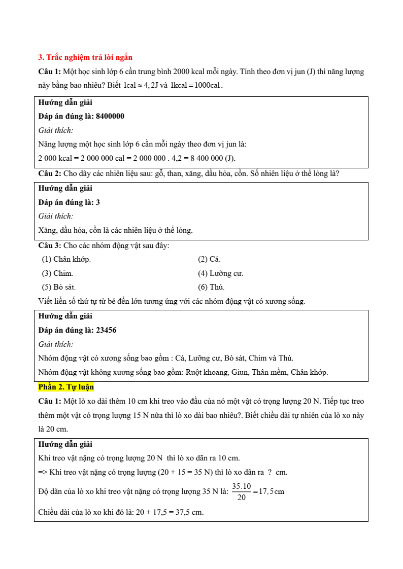6+ Đề thi Giữa kì 2 KHTN 6 Kết nối tri thức năm 2026 (có đáp án)