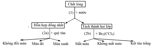 Đề thi học sinh giỏi Hóa học 12 Cụm các trường THPT (Hải Phòng) năm 2025-2026
