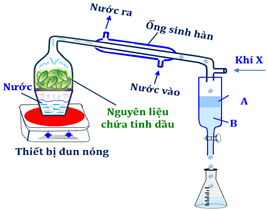 Đề thi học sinh giỏi Hóa học 12 trường THPT Hàn Thuyên (Bắc Ninh) năm 2025-2026