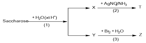 Đề thi học sinh giỏi Hóa học 12 trường THPT Hàn Thuyên (Bắc Ninh) năm 2025-2026