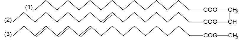 Đề thi học sinh giỏi Hóa học 12 trường THPT Hàn Thuyên (Bắc Ninh) năm 2025-2026