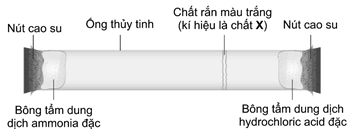 Đề thi học sinh giỏi Hóa học 12 trường THPT Trực Ninh (Ninh Bình) năm 2025-2026