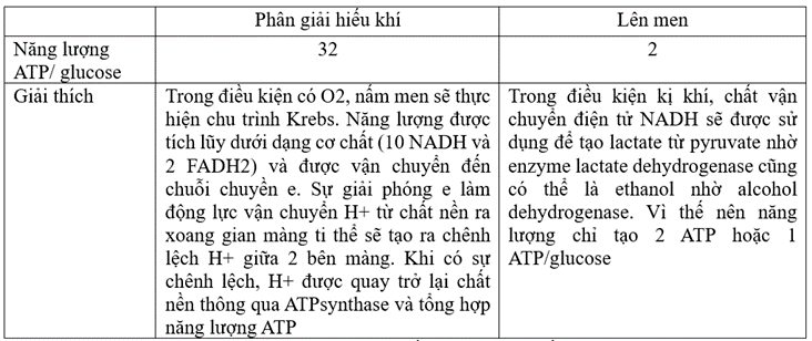 Đề thi học sinh giỏi Sinh 10 năm 2024 (có đáp án)