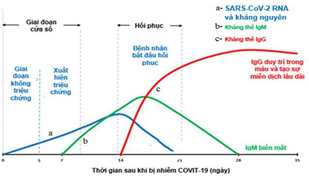 Đề thi học sinh giỏi Sinh 11 năm 2024 (có đáp án)