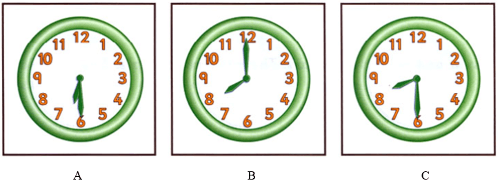 Đề thi HSG Tiếng Anh 6 trường THCS Tân Phong (Hải Dương) năm 2024-2025