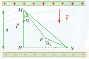 Đề thi học sinh giỏi Toán 12 Sở GD & ĐT tỉnh Thanh Hóa năm 2024-2025