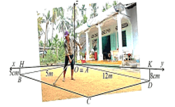 Đề thi học sinh giỏi Toán 12 trường THPT Lê Xoay (Vĩnh Phúc) năm 2024-2025