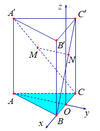Đề thi học sinh giỏi Toán 12 trường THPT Hậu Lộc 3 (Thanh Hóa) năm 2024-2025