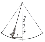 Đề thi học sinh giỏi Toán 12 trường THPT Lê Xoay (Vĩnh Phúc) năm 2024-2025