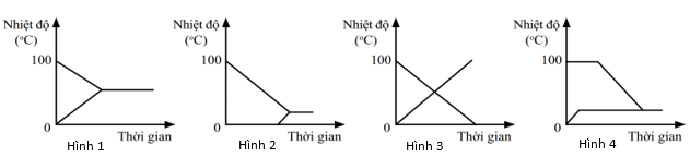 Đề thi HSG Vật lí 12 trường THPT Hàm Rồng (Thanh Hóa) năm 2025-2026