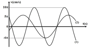 Đề thi HSG Vật lí 12 trường THPT Hàm Rồng (Thanh Hóa) năm 2025-2026