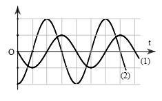 Đề thi HSG Vật lí 12 trường THPT Uông Bí (Quảng Ninh) năm 2025-2026