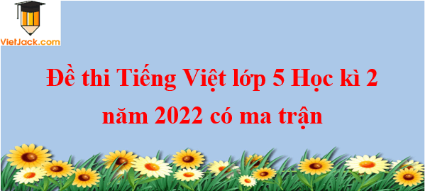 Đề thi Tiếng Việt lớp 5 Học học kì 1 năm 2023 có ma trận (20 đề)