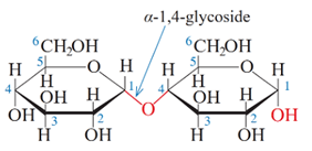 (Ôn thi ĐGNL, ĐGTD) Chuyên đề: Carbohydrate