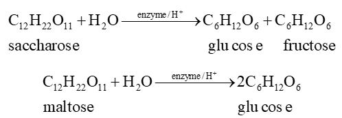 (Ôn thi ĐGNL, ĐGTD) Chuyên đề: Carbohydrate