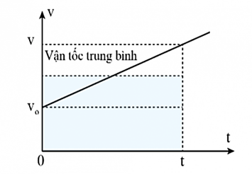 (Ôn thi ĐGNL, ĐGTD) Chuyên đề: Động lực học