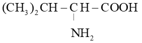 (Ôn thi ĐGNL, ĐGTD) Chuyên đề: Hợp chất chứa nitrogen
